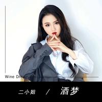 刘一手酒梦 丁丁