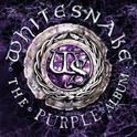 The Purple Album专辑