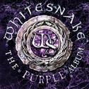 The Purple Album专辑