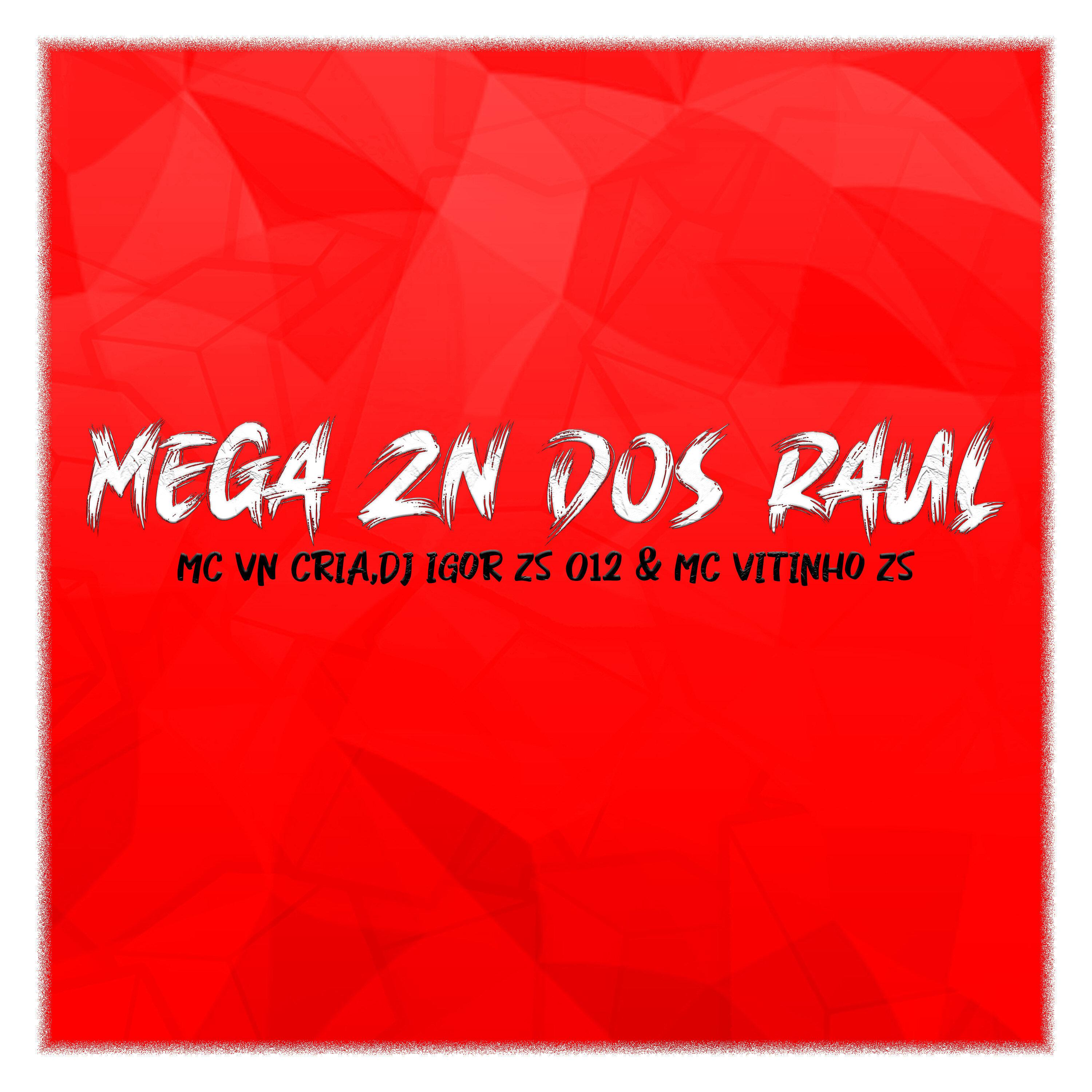 MC VN Cria - Mega ZN dos Raul (feat. Mc Vitinho ZS)