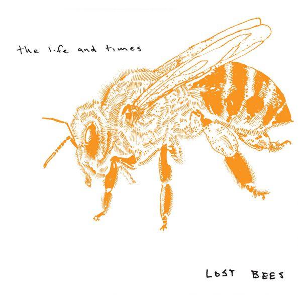 Lost Bees
