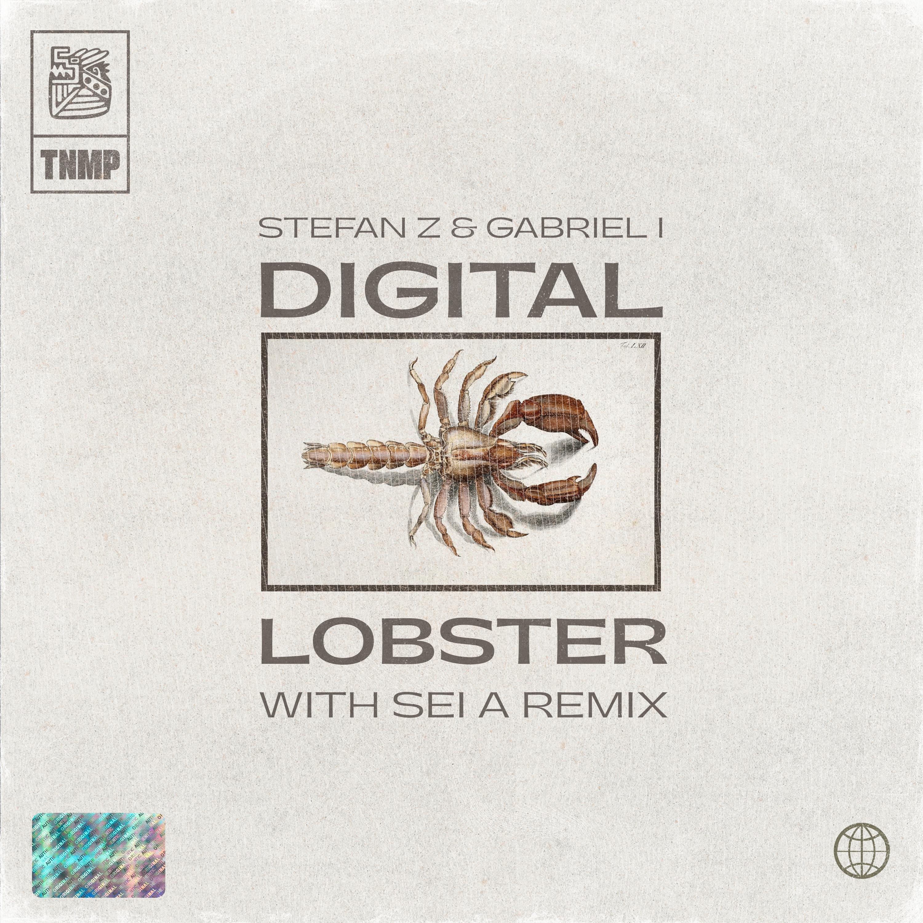 Digital Lobster