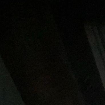 0000