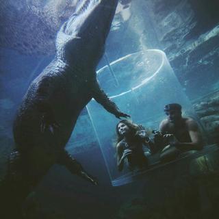 Future Bass 隽永之道