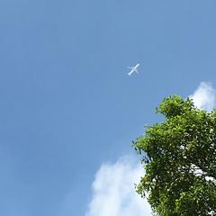 飛行機雲