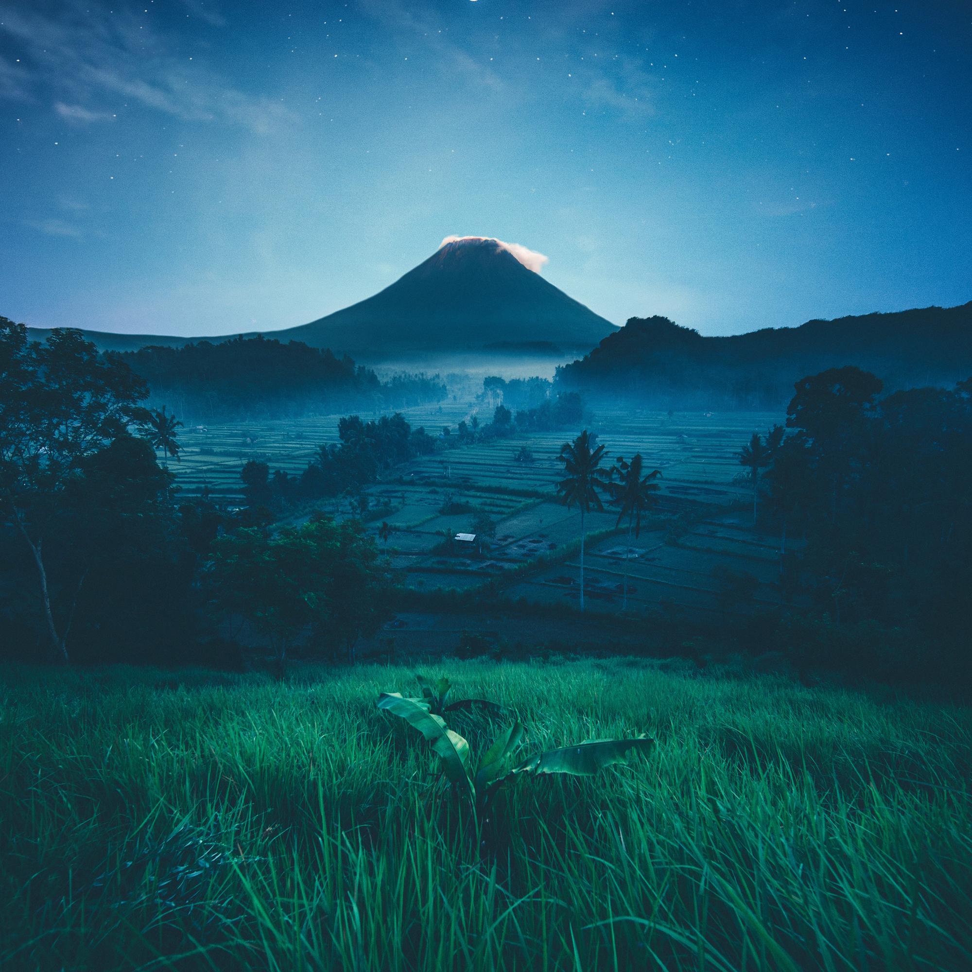 50 Chilled Melodies to Rest