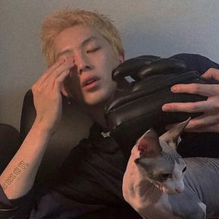 耳机分我一半 OP1