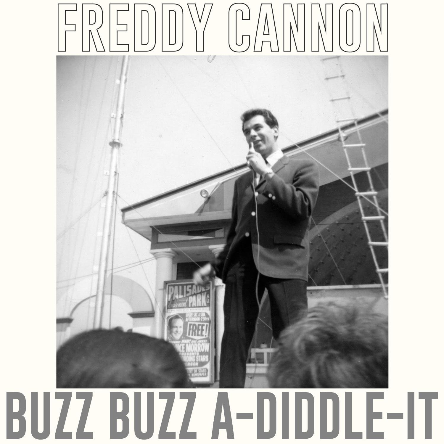 Buzz Buzz A-Diddle-It