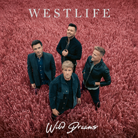 Westlife - Do You Ever Think of Me (Pre-V2) 带和声伴奏