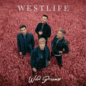 Westlife - Lifeline (Pre-V2) 带和声伴奏 （升5半音）