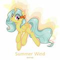 Summer Wind