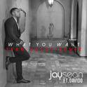 What You Want (Team Salut Remix)专辑