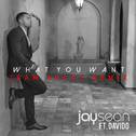What You Want (Team Salut Remix)专辑