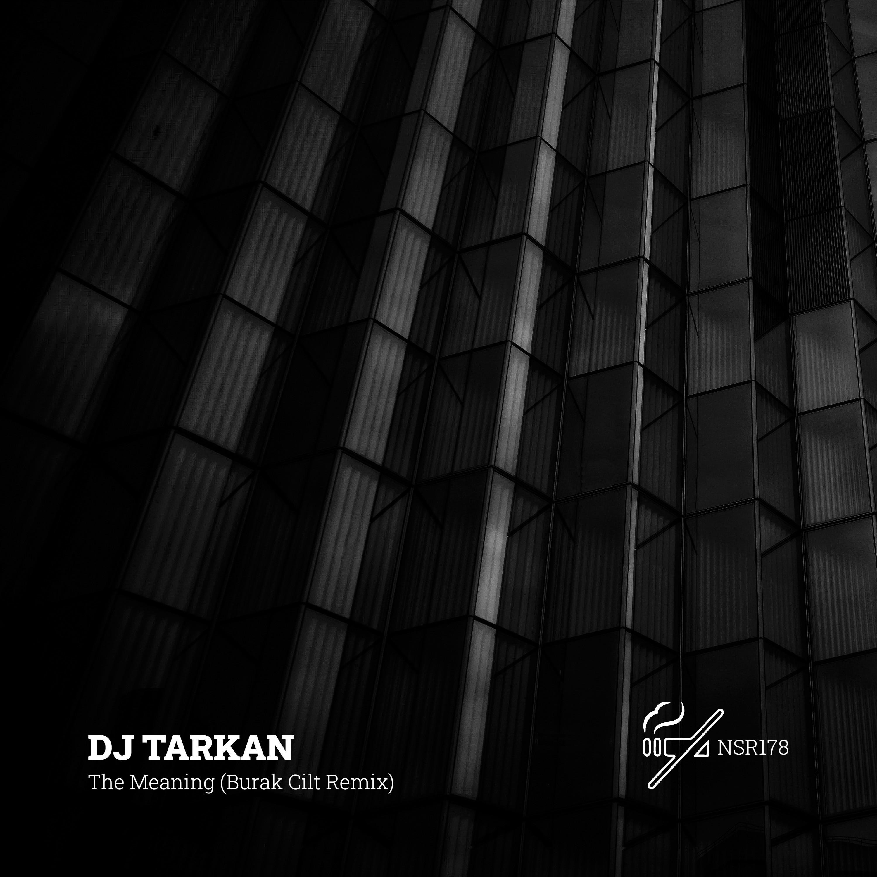 The Meaning (Burak Cilt Remix)