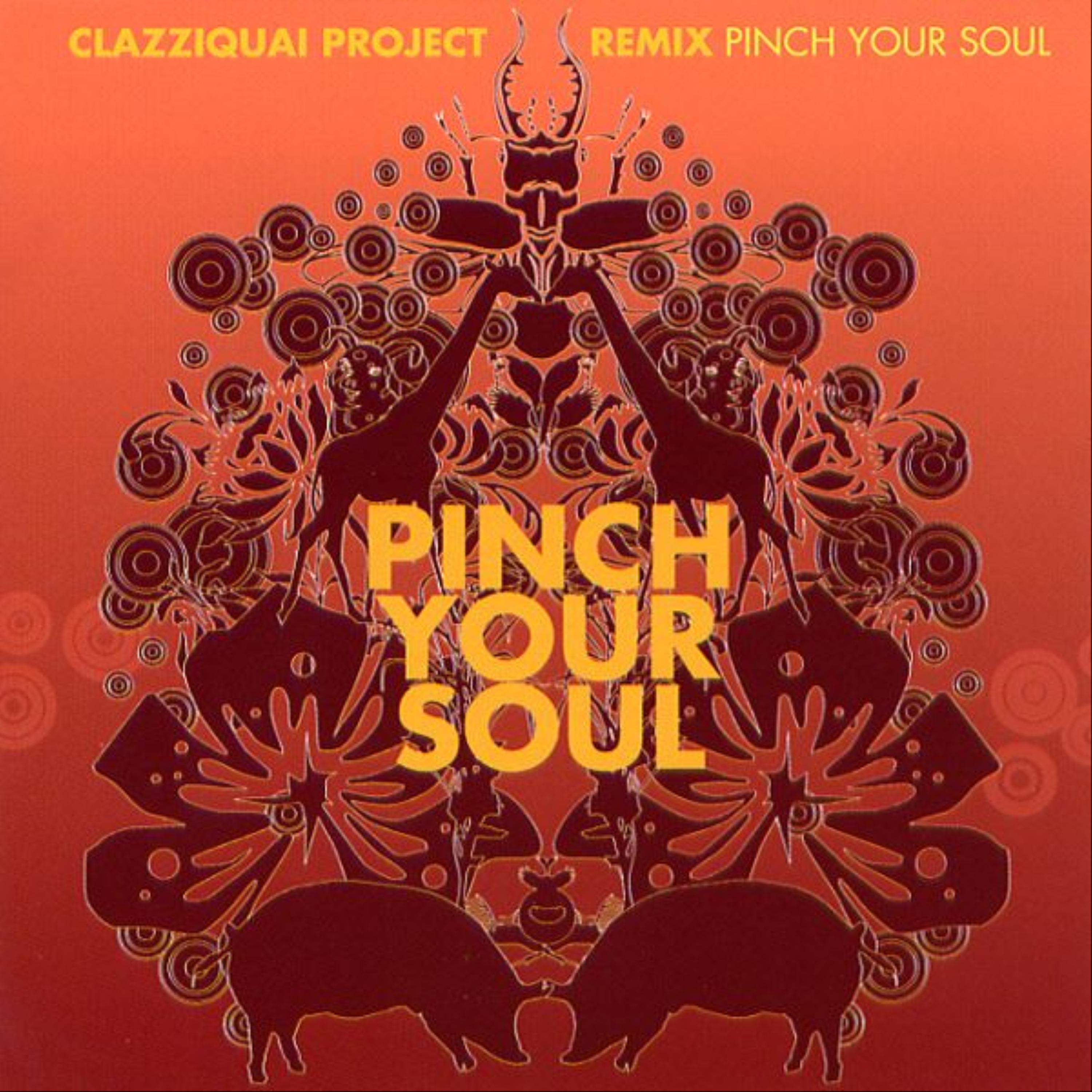Clazziquai - Color Your Soul(Pinch Your Remix)