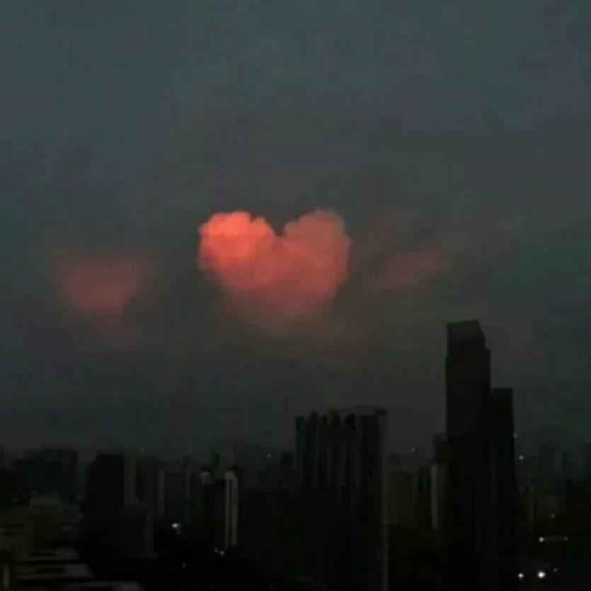 世俗不解爱