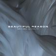 Beautiful Reason