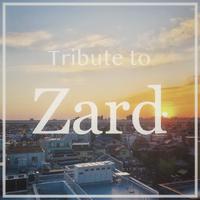 ZARD - IN MY ARMS TONIGHT(官方原版立体声)