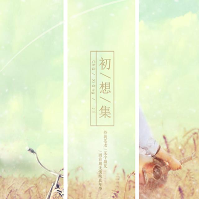 平纱2015·初想集