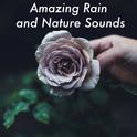 23 Amazing Rain and Nature Sounds. Ambient Rainfall for Sleep Meditation and Relaxing专辑