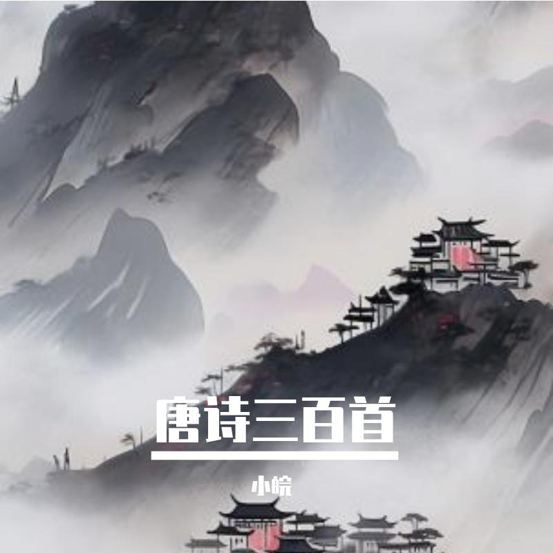 小皖歌曲封面