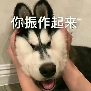 蹦迪 酒吧必备歌单
