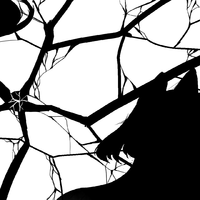 HANK - You Are (Remix)