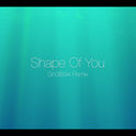 Shape Of You (Remix)专辑