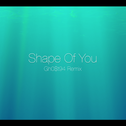 Shape Of You (Remix)专辑