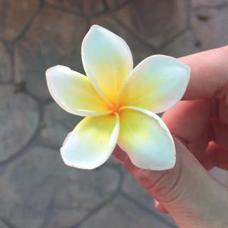 摩登兄弟宁哥-抖音最火流行合集