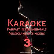 Karaoke Parfait Instrumentals Musicians & Singers, Vol. 3专辑