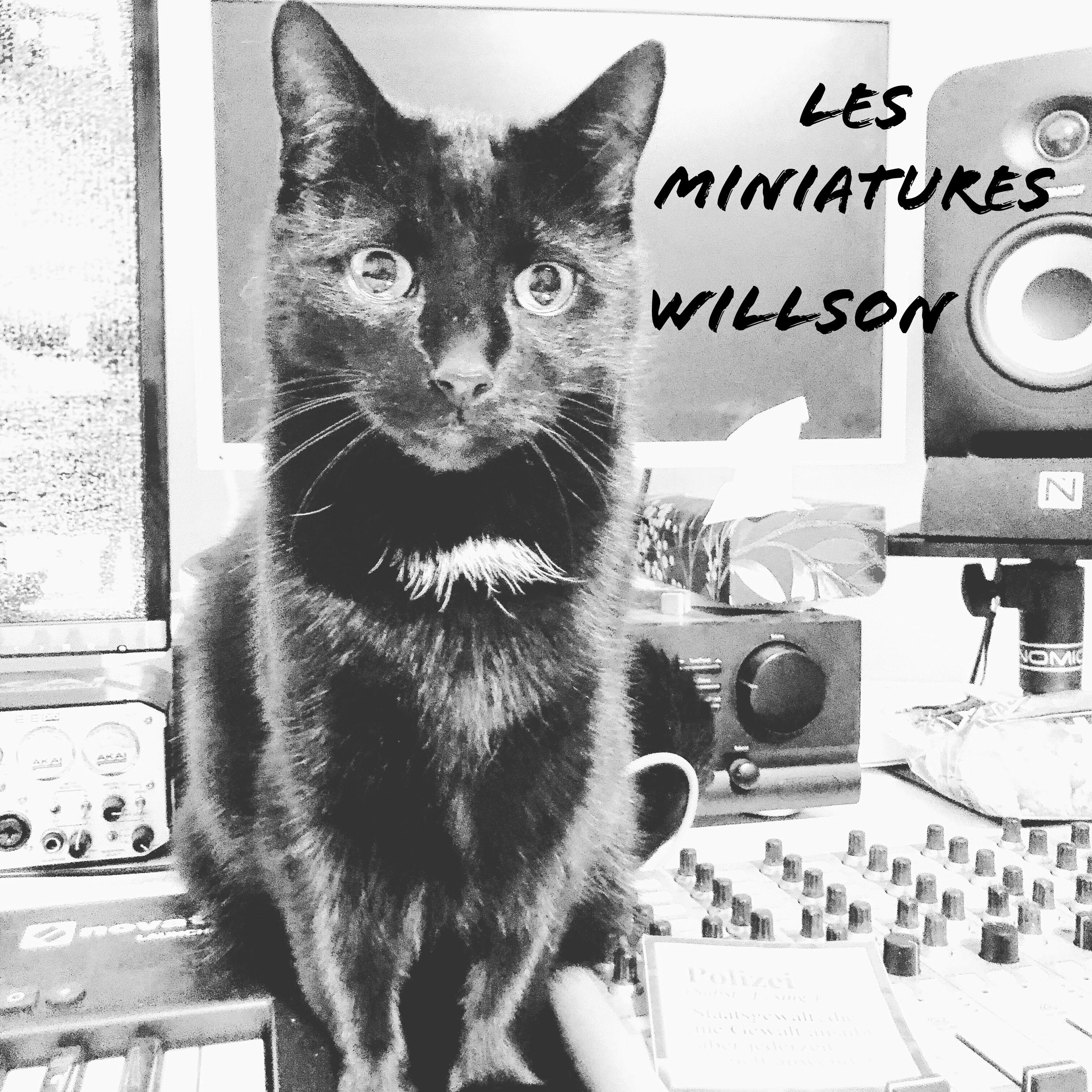Les Miniatures