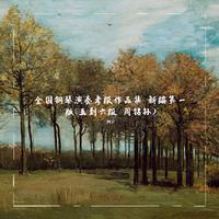钢琴五级 D大调小奏鸣曲第二乐章
