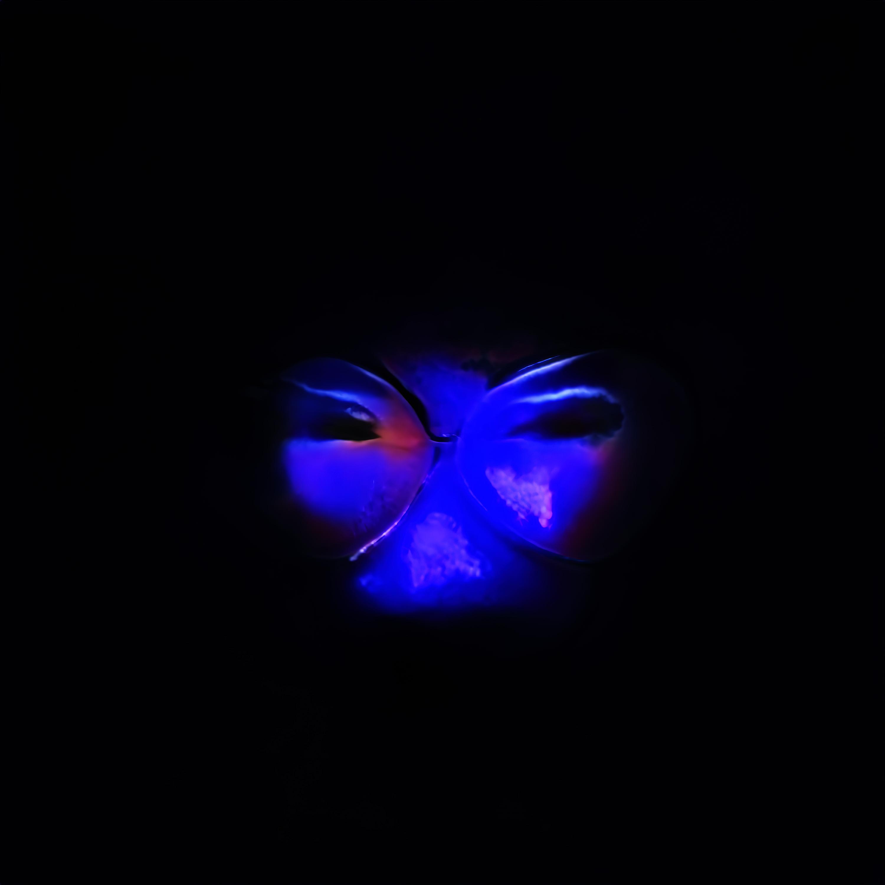 Revelator Eyes