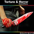 Torture and Horror Sound Effects