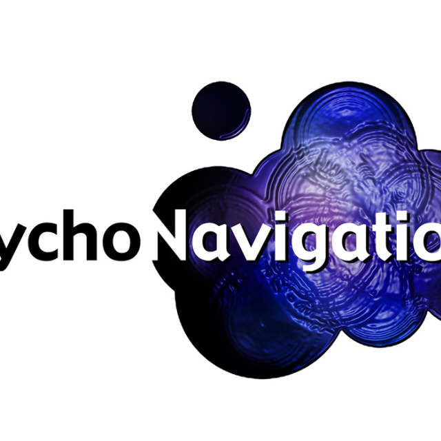 Psychonavigation Sampler  2013