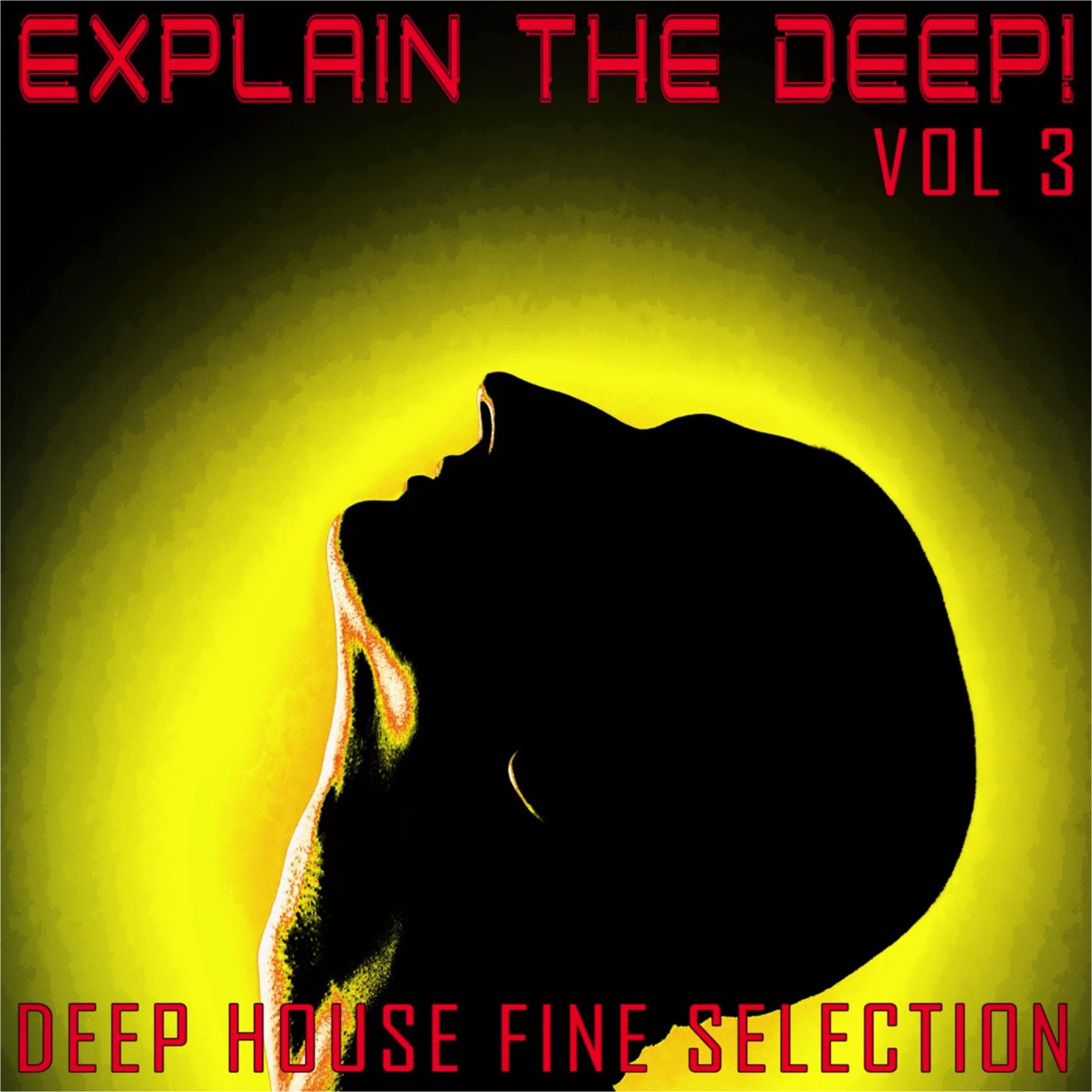 David Delon - Funky Dread (Deep Mix)