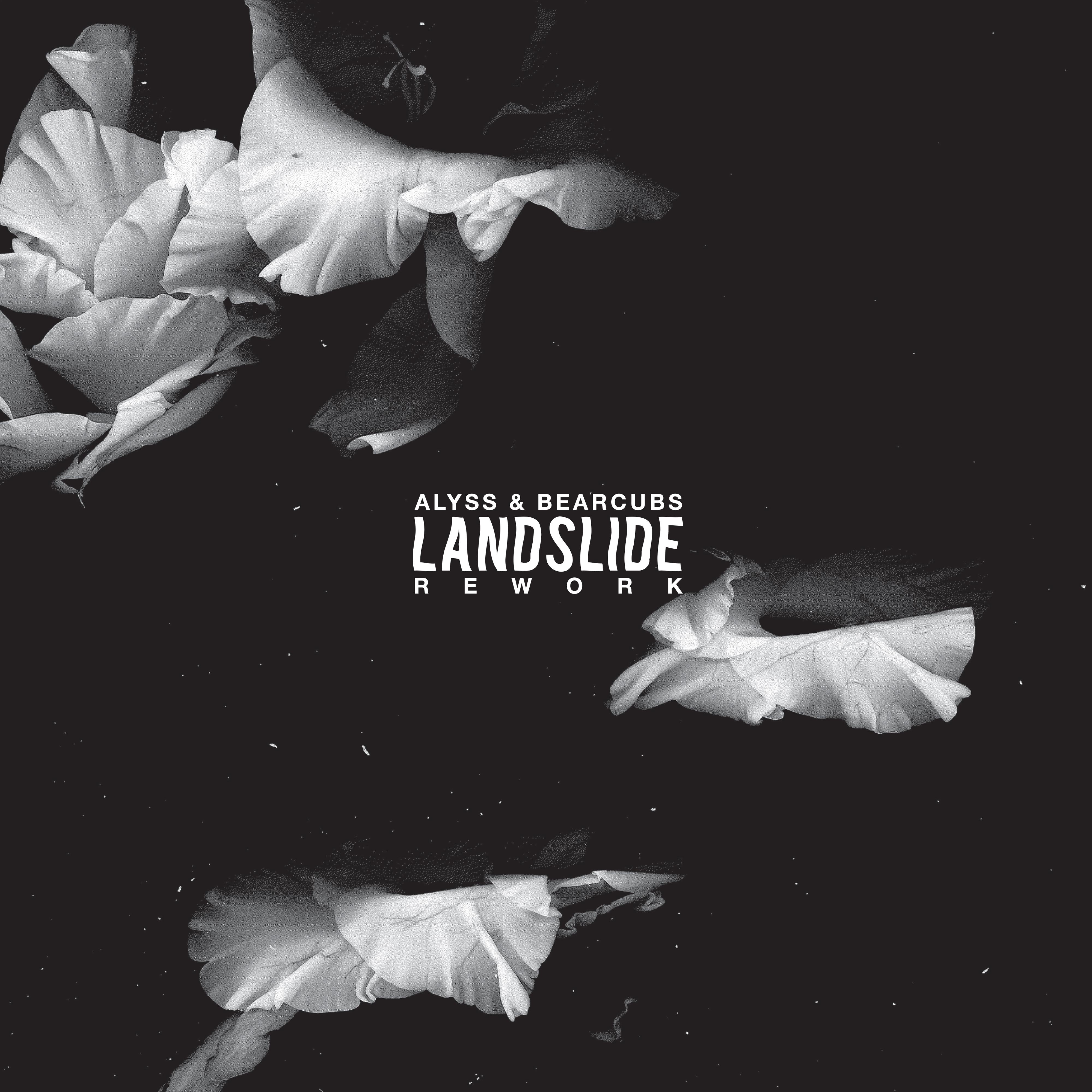 Landslide (Alyss & Bearcubs Rework)