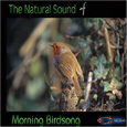 Natural Sound Series - Morning Birdsong