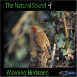 Natural Sound Series - Morning Birdsong专辑