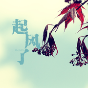 起风了