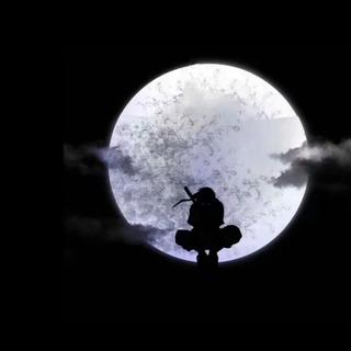 纯音乐