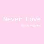 Never Love专辑