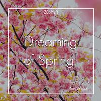 Seo Eun Kwang - Dreaming Of Spring