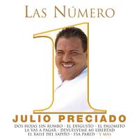 原版伴奏   Julio Preciado - Y Que Dijiste Tu (karaoke)