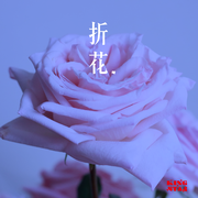 折花 (伴奏)