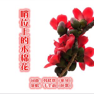 韩晓辉 - 哨位上的木棉花(原版伴奏) （降2半音）