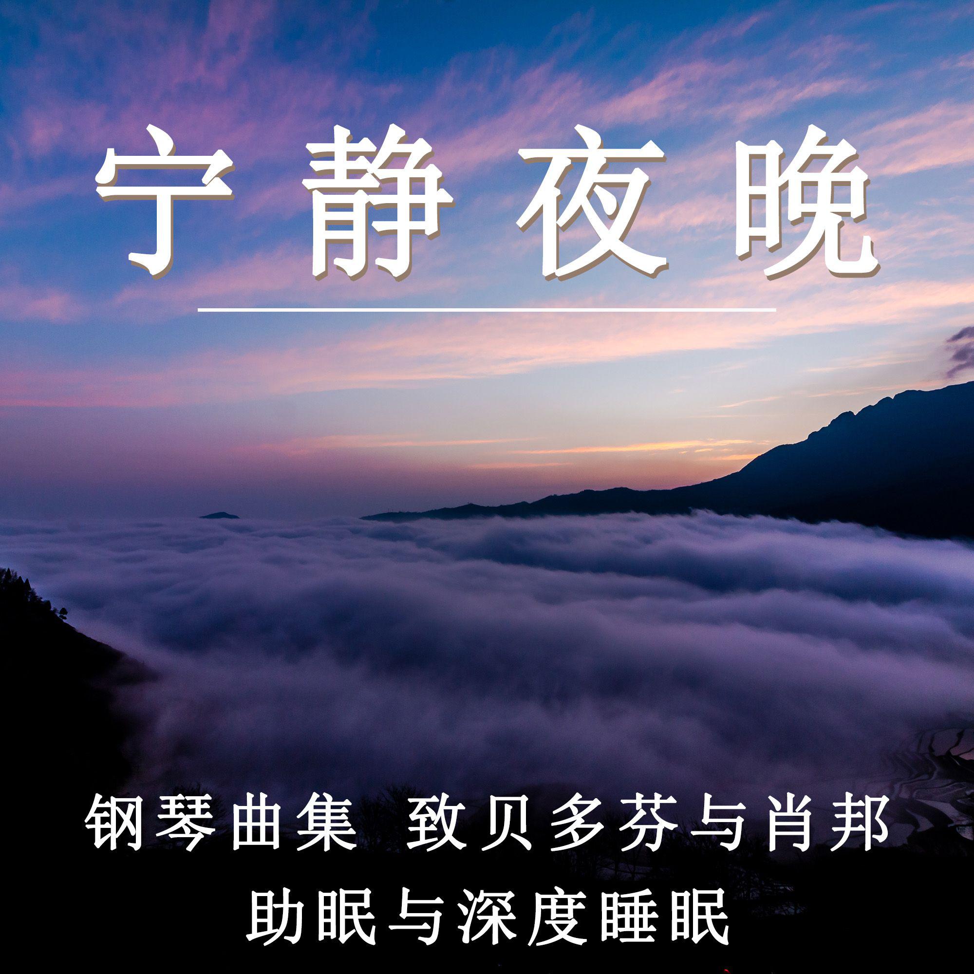 宁静夜晚 钢琴曲集 致贝多芬与肖邦 助眠与深度睡眠
