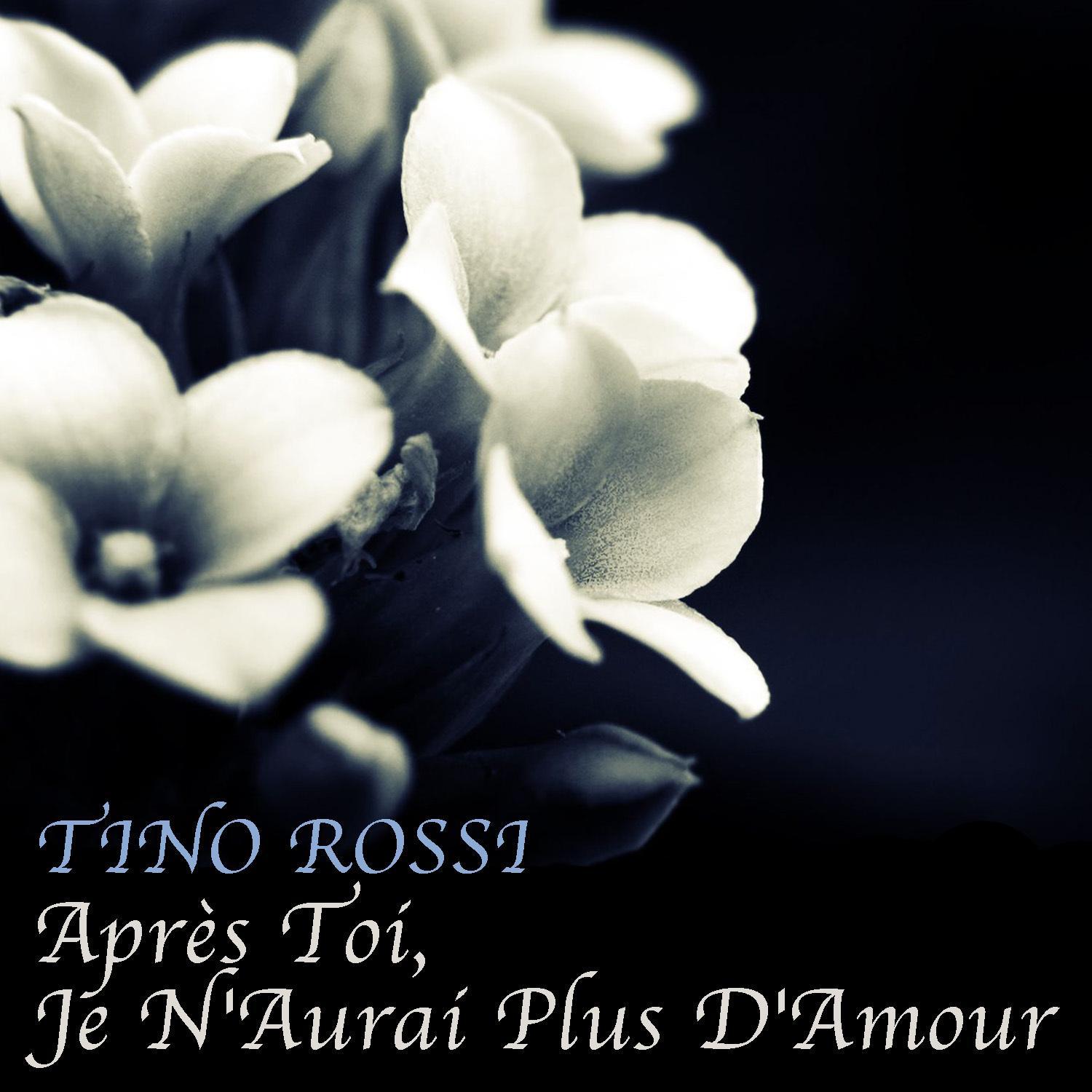 Après Toi, Je N'Aurai Plus D'Amour