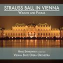 Strauss Ball in Vienna: Waltzes and Polkas